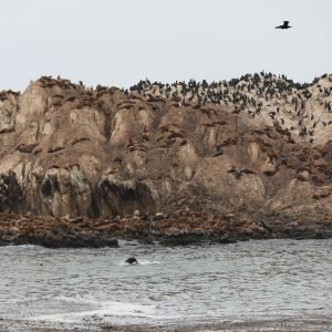 images-16 (1)