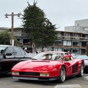 images-19 (2)
